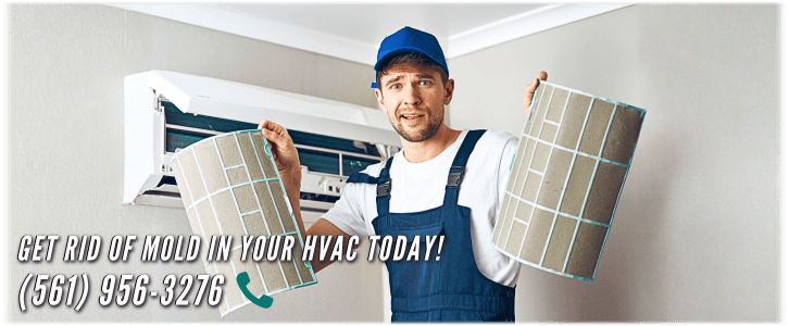 HVAC Mold Removal Palm Beach FL